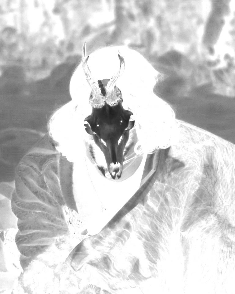 Museum & Schule / Infoveranstaltung für Lehrkräfte mit Franziska Feser / Luisa Heinz l Becoming Creature l Diffring Preis für Skulptur 2025